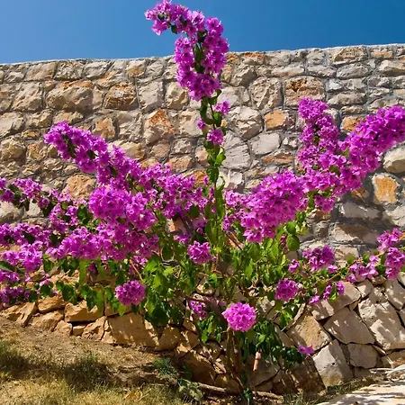 Holiday home Duje
