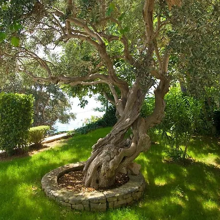 Duje Holiday home Trogir