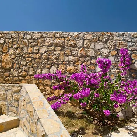 Holiday home Duje Trogir