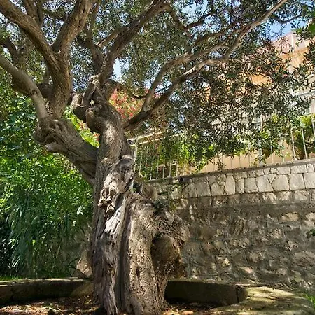 Holiday home Duje Trogir